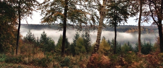  Siamo circondati da una splendida campagna 